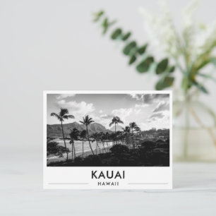 Carte Postale Kauai Hawaii Kalapaki Beach Noir et Blanc