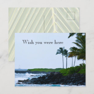 Carte Postale Kauai Hawaii Koloa Océan Palmiers