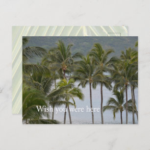 Carte Postale Kauai Hawaii Lihue Palm Trees Océan