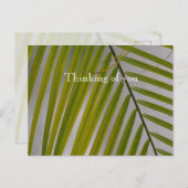 Carte Postale Kauai Hawaii Palm Tree (Devant / Derrière)