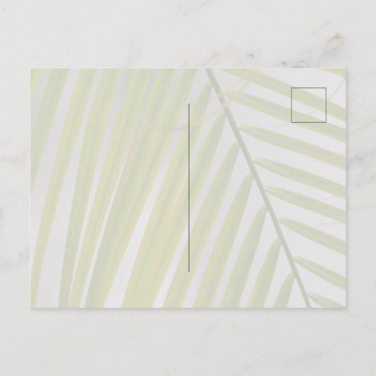 Carte Postale Kauai Hawaii Palm Tree (Dos)