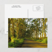 Carte Postale Kauai - La route de Poipu (Devant / Derrière)