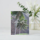 Carte postale Kauai Palm Trees (Debout devant)
