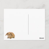 Carte Postale Kawaii Cute Lapin Lapin (Dos)