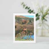 Carte Postale Kayak (Debout devant)