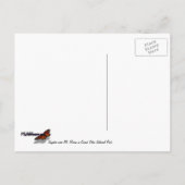 Carte Postale Kayak dans le Parc national de Grand Teton (Dos)