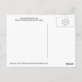 Carte Postale Kayaking Marshall Lake - Limite de la Colombie-Bri (Dos)