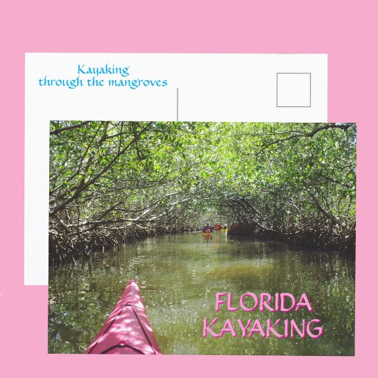 Carte Postale Kayaking Through the Mangroves Florida Adventure