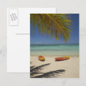 Carte Postale Kayaks on the beach, Plantation Island (Devant / Derrière)