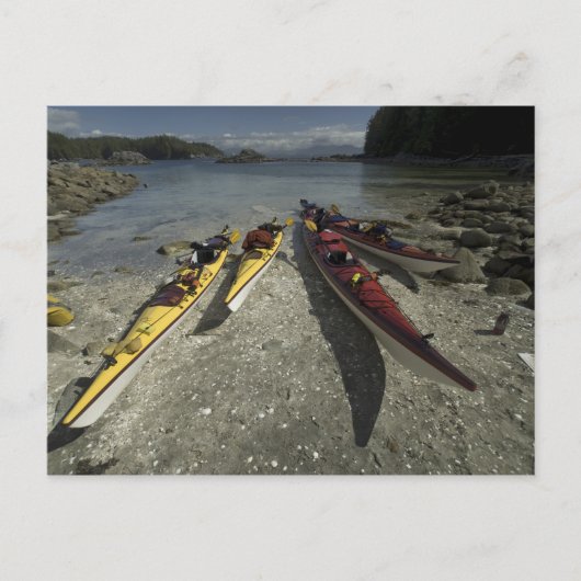 Carte Postale Kayaks sur l'île Dicebox, Broken Island Group, (Devant)