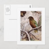 Carte Postale Kea (Devant / Derrière)