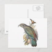 Carte Postale Kea (Devant / Derrière)