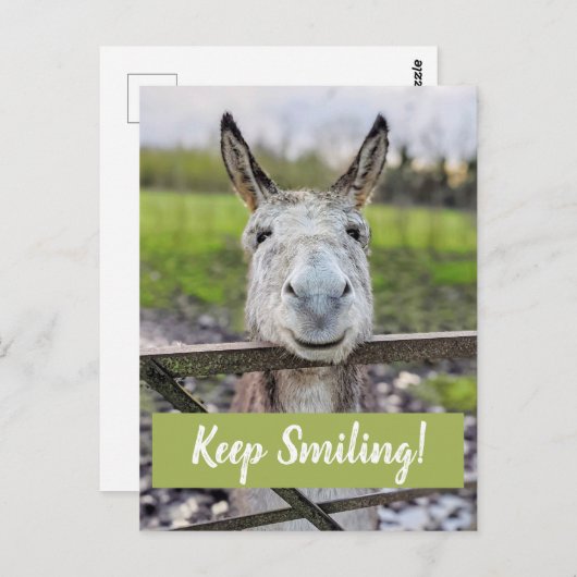 Carte postale "Keep Smiling" pour âne souriant (Devant / Derrière)