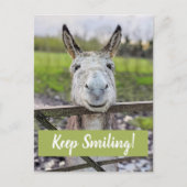Carte postale "Keep Smiling" pour âne souriant (Devant)