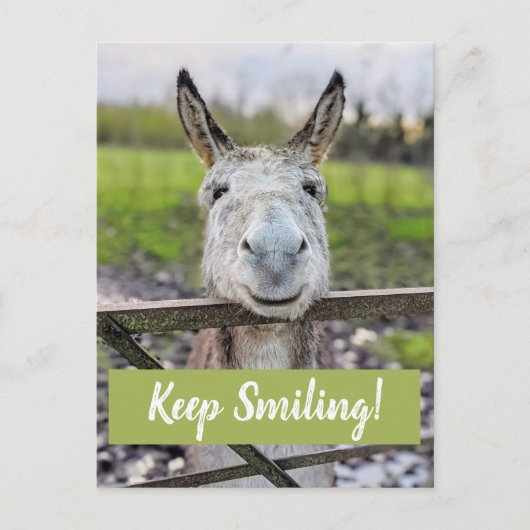 Carte postale "Keep Smiling" pour âne souriant (Devant)