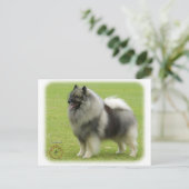 Carte Postale Keeshond 9J28D-01 (Debout devant)
