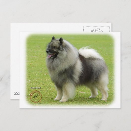 Carte Postale Keeshond 9J28D-01 (Devant / Derrière)