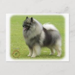 Carte Postale Keeshond 9J28D-01