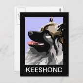 Carte Postale Keeshond Art (Devant / Derrière)