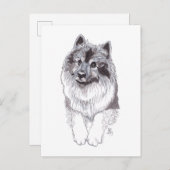 Carte postale Keeshond Doggust 2019 (Devant / Derrière)