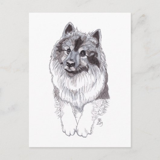 Carte postale Keeshond Doggust 2019 (Devant)