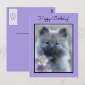 Carte Postale Keeshond et Columbine - Photo de chien (Devant / Derrière)