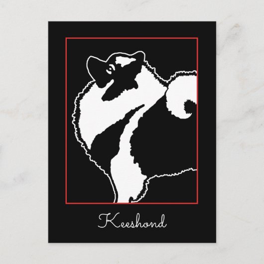 Carte Postale Keeshond Graphics - Cute Original Chig Art (Devant)