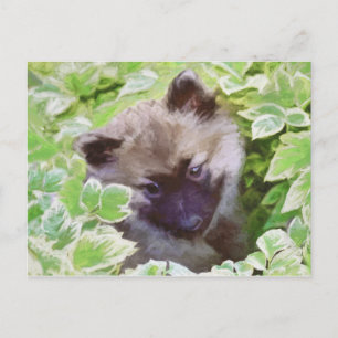 Carte Postale Keeshond Puppy in the Garden Peinture Art original