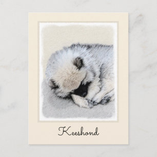 Carte Postale Keeshond Sleeping Puppy Peinture Chien Art origina