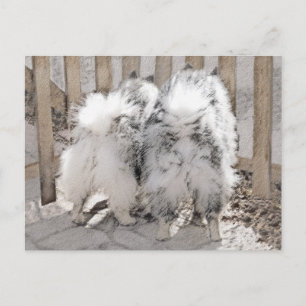 Carte Postale Keeshonds at the Gate Painting - Original Dog Art