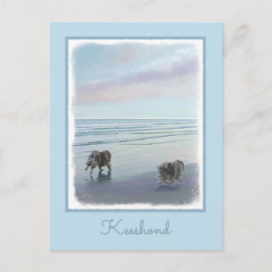 Carte Postale Keeshonds at the Seashore Peinture Dog Art