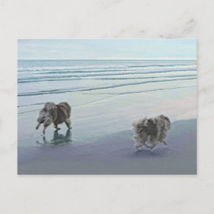 Carte Postale Keeshonds at the Seashore Peinture Dog Art