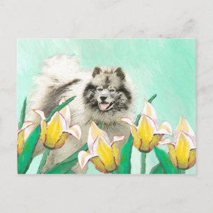 Carte Postale Keeshony in Tulips Peinture mignonne Original Chie