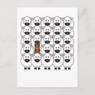 Carte Postale Kelpie australienne dans le mouton