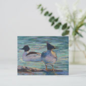 Carte Postale Kenai Blues (Debout devant)