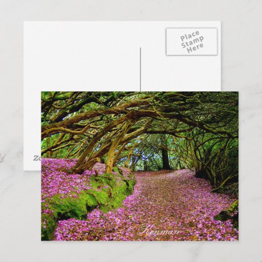 Carte Postale Kenmare (Devant / Derrière)