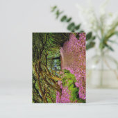 Carte Postale Kenmare Fairy Road (Debout devant)