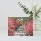 Carte Postale Kent, Connecticut (Debout devant)