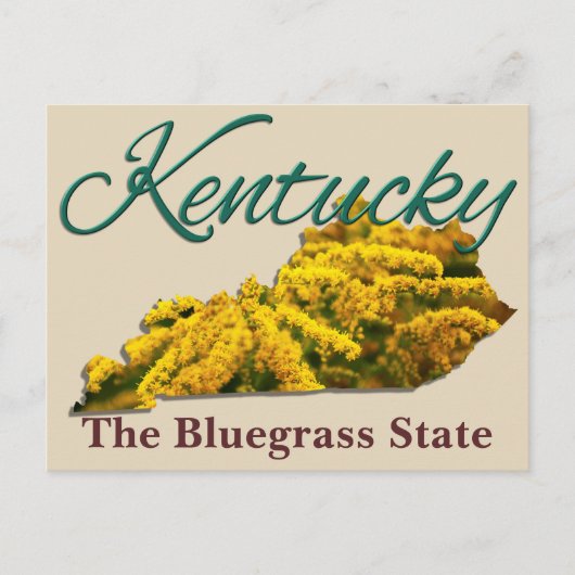 Carte postale - KENTUCKY (Devant)