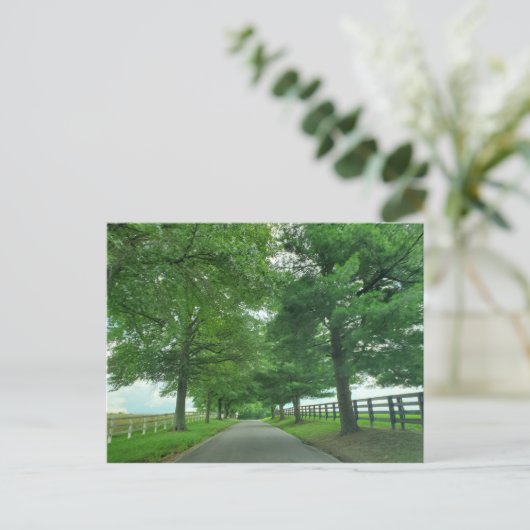 Carte postale Kentucky Bluegrass (Debout devant)