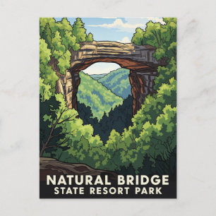 Carte Postale Kentucky Natural Bridge State Resort Park Travel