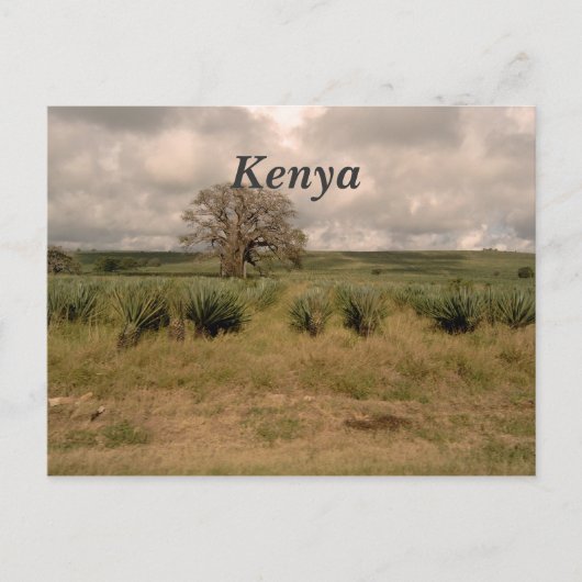 Carte Postale Kenya (Devant)