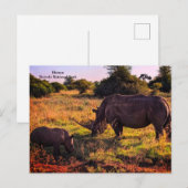 Carte postale Kenya (Devant / Derrière)