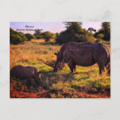 Carte postale Kenya (Devant)