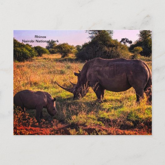 Carte postale Kenya (Devant)