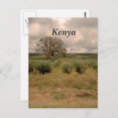 Carte Postale Kenya (Devant / Derrière)