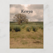 Carte Postale Kenya (Devant)