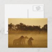 Carte Postale Kenya : Le parc national du lac Turkana a repéré d (Devant / Derrière)