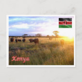 Carte Postale Kenya - Panorama - (Devant)