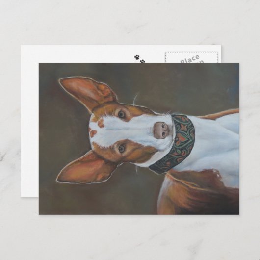 Carte postale Kenzie the Ibizan Hound Dog Art (Devant / Derrière)